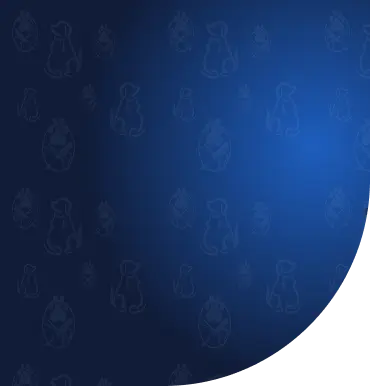 Background Main