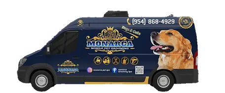 2. Nosotros vamos a ti